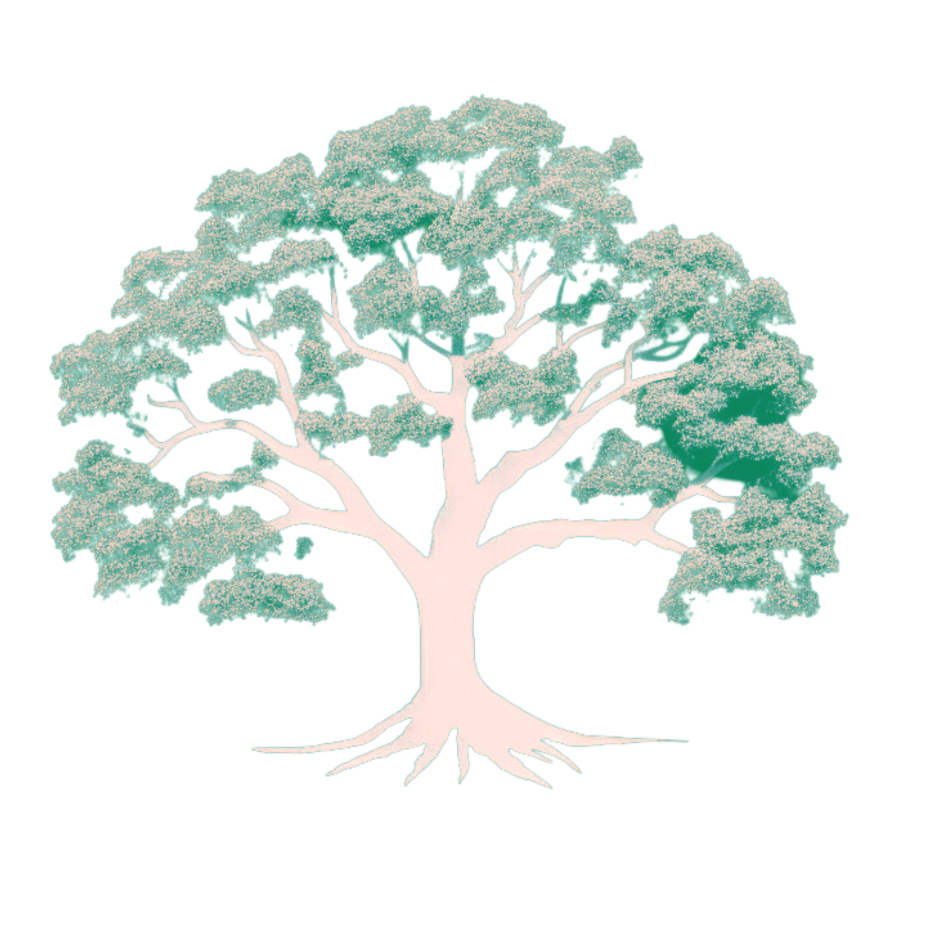 Sevenoaks Tree Care