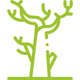 dead tree icon