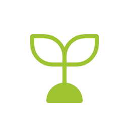 sapling icon