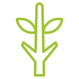 tree reduction icon